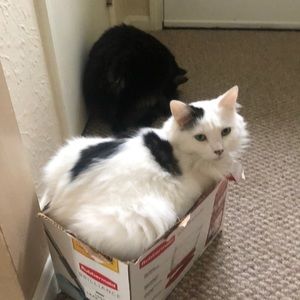 Meet your Posher, Margo